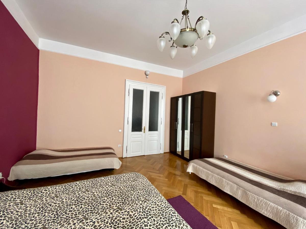 ホテル Casa Balcescu ブラショフ エクステリア 写真